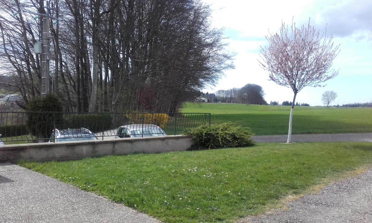 Gite Les Hirondelles Plombières-les-Bains Екстериор снимка