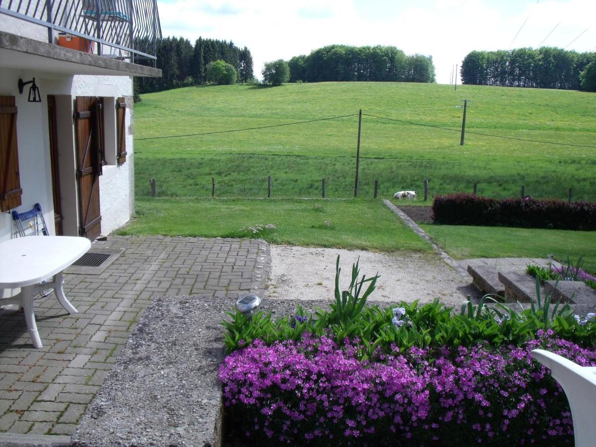 Gite Les Hirondelles Plombières-les-Bains Екстериор снимка