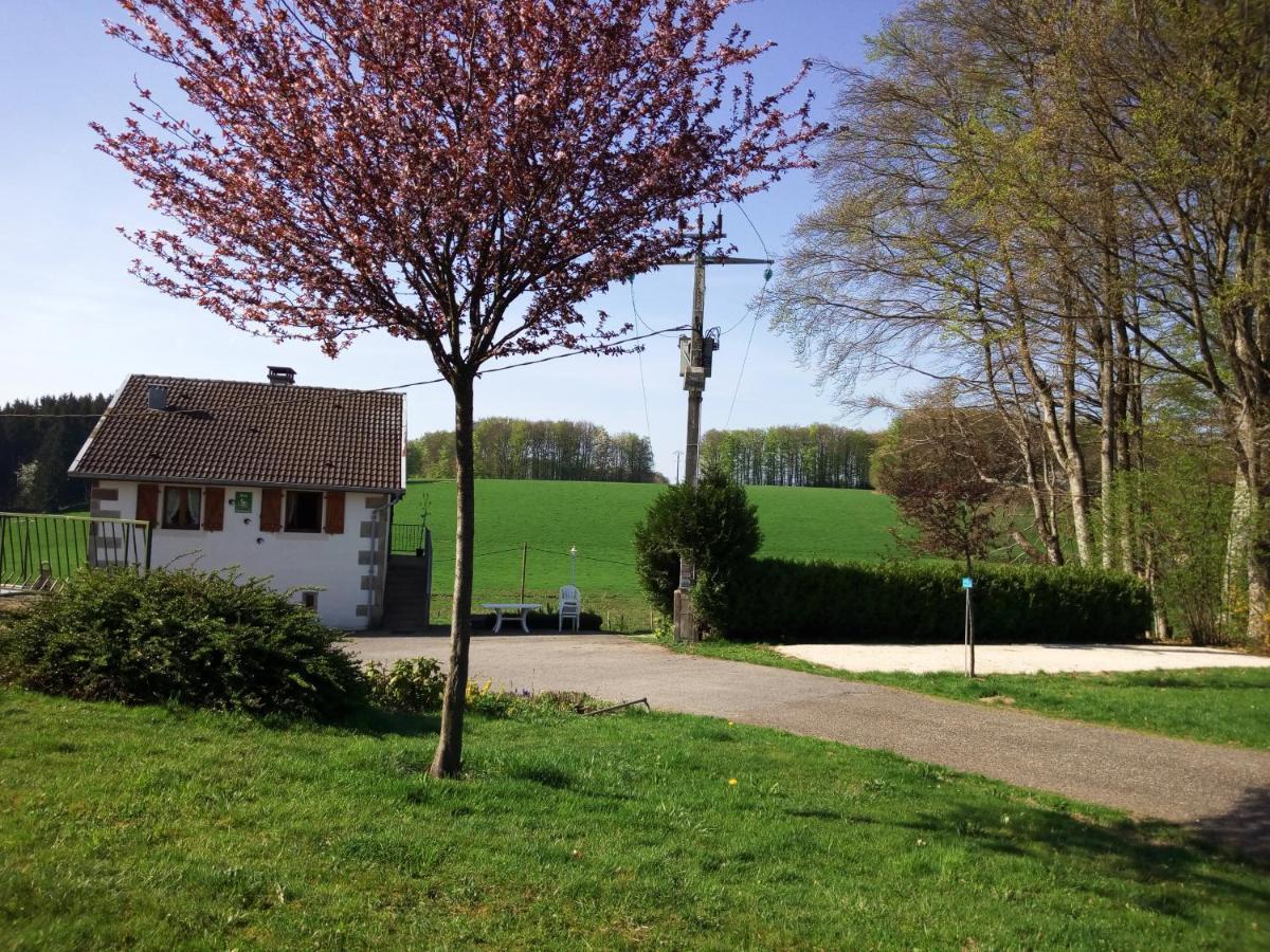 Gite Les Hirondelles Plombières-les-Bains Екстериор снимка