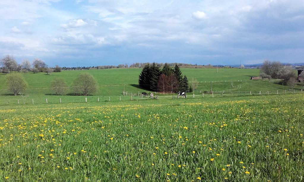 Gite Les Hirondelles Plombières-les-Bains Екстериор снимка