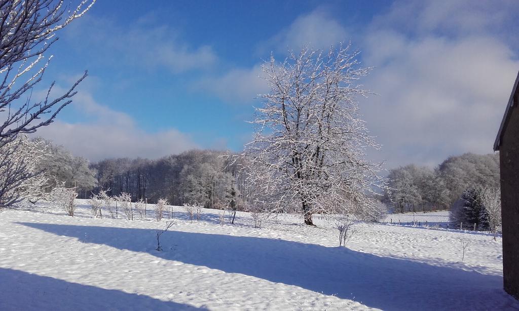 Gite Les Hirondelles Plombières-les-Bains Екстериор снимка