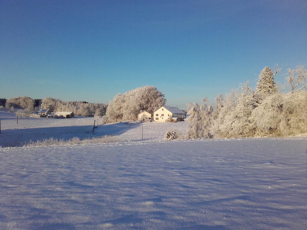 Gite Les Hirondelles Plombières-les-Bains Екстериор снимка