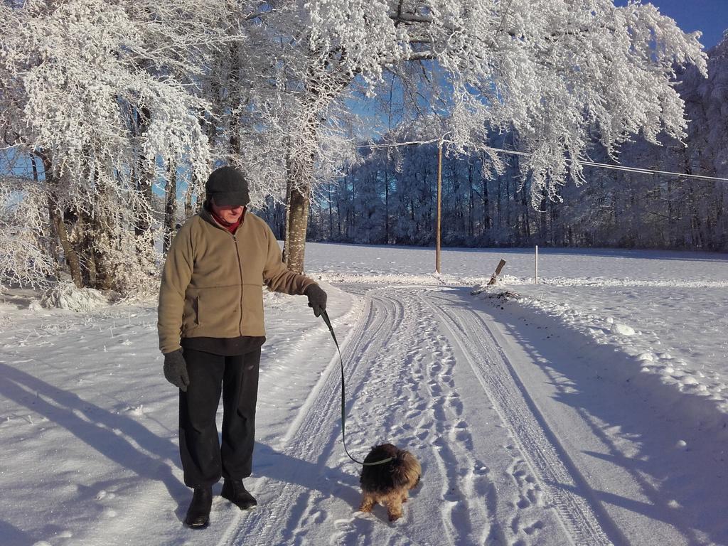 Gite Les Hirondelles Plombières-les-Bains Екстериор снимка